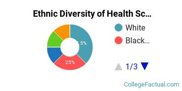 Ethnic Diversity of Health Sciences & Services Majors at University of North Florida