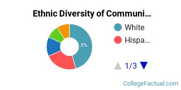Ethnic Diversity of Communication & Journalism Majors at University of Oklahoma Norman Campus