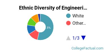 Ethnic Diversity of Engineering Majors at University of Oklahoma Norman Campus