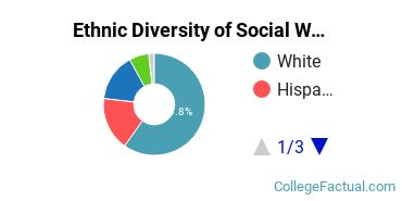 Ethnic Diversity of Social Work Majors at University of South Florida - Main Campus