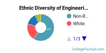 Ethnic Diversity of Engineering Majors at University of Tulsa