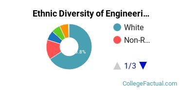 Ethnic Diversity of Engineering Majors at University of Utah