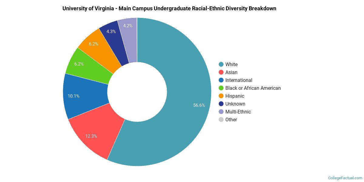 University of Virginia Main Campus Diversity Racial Demographics