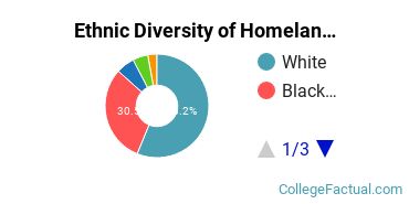 Ethnic Diversity of Homeland Security, Law Enforcement & Firefighting Majors at Wayne State University