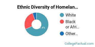 Ethnic Diversity of Homeland Security, Law Enforcement & Firefighting Majors at Wayne State University