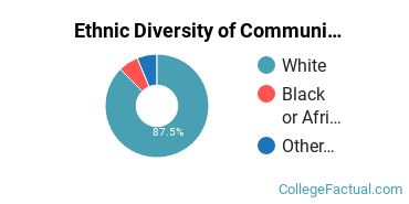 Ethnic Diversity of Communication & Journalism Majors at West Virginia State University
