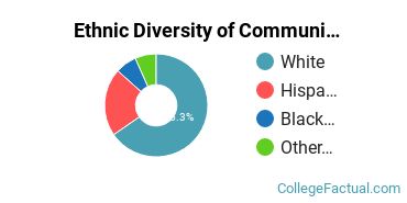 Ethnic Diversity of Communication & Journalism Majors at Western Connecticut State University