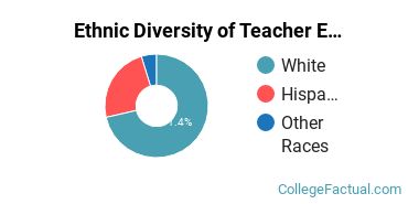 Ethnic Diversity of Teacher Education Grade Specific Majors at Western Connecticut State University