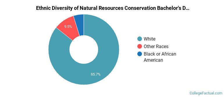 Ethnic diversity of Natural Resources Conservation majors at Western Kentucky University