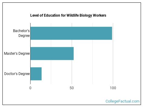 2023 Wildlife Biology Degree Guide | Find Your Future Faster